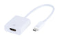 USB Type-C auf HDMI Adapter (ASIN: B07SJ8YQR8)