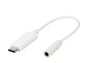 USB-C Audio Adapter (ASIN: B08DJ16YH1)